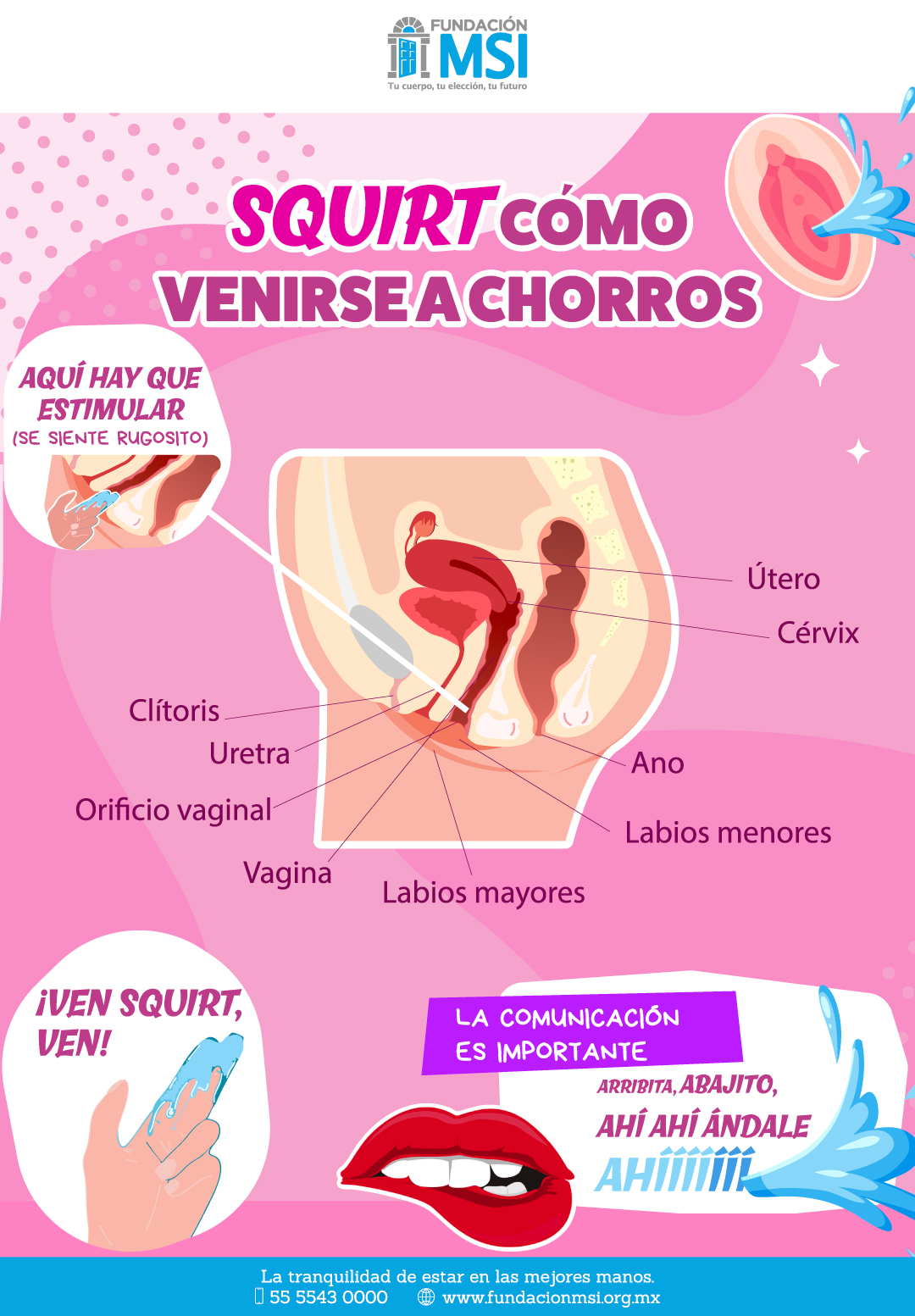 Guía sobre eyaculación femenina